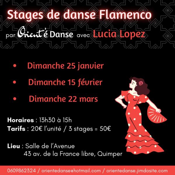 sortie à QUIMPER, Finistère. STAGE DE FLAMENCO Sortir à QUIMPER(Finistère). QUIMPER.