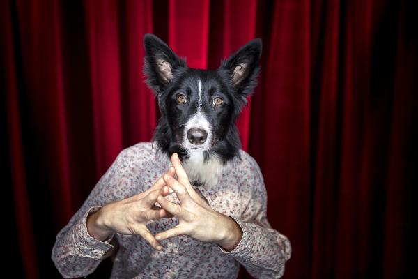 sortie à PONTIVY, Morbihan. GAMINERIES 2026 - OUIIIII Sortir à PONTIVY(Morbihan). PONTIVY.