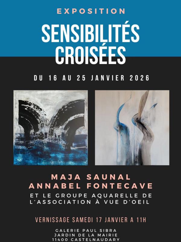 Sortir &agrave; CASTELNAUDARY(Aude). CASTELNAUDARY.