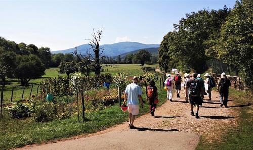 Sortir &agrave; SENTHEIM(Haut Rhin). SENTHEIM.