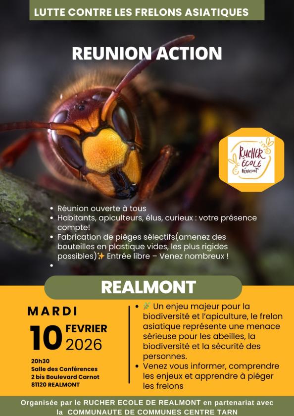 Sortir &agrave; REALMONT(Tarn). REALMONT.