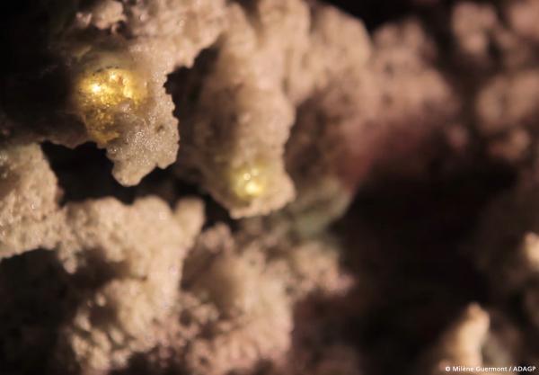 Sortir &agrave; PARIS 12(Paris). PARIS 12.