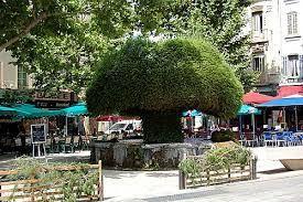 Sortir &agrave; SALON DE PROVENCE(Bouches du Rh&ocirc;ne). SALON DE PROVENCE.