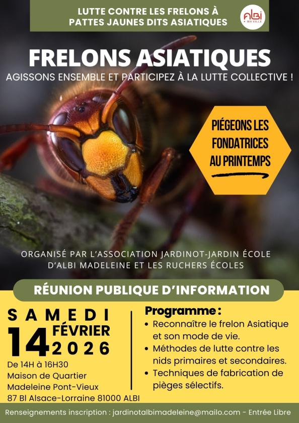 Sortir &agrave; ALBI(Tarn). ALBI.