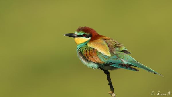 Sortir &agrave; PORTET SUR GARONNE(Haute Garonne). PORTET SUR GARONNE.