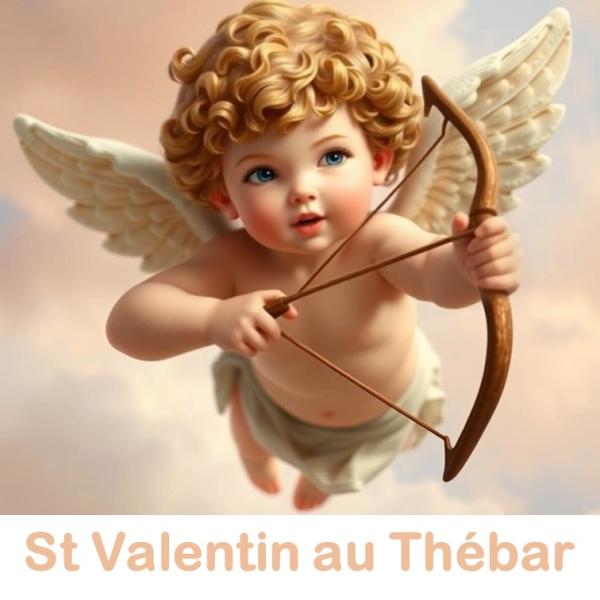 Sortir &agrave; NIMES(Gard). NIMES.