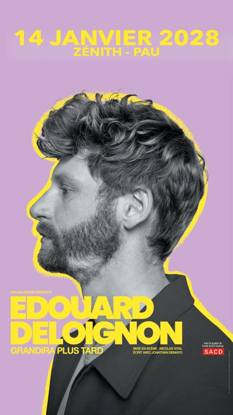 Sortir &agrave; PAU(Pyr&eacute;n&eacute;es Atlantiques). PAU.