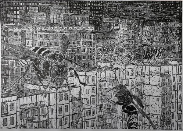 Sortir &agrave; PROVINS(Seine et Marne). PROVINS.