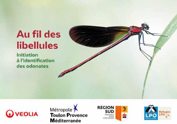 Sortir &agrave; LA GARDE(Var). LA GARDE.