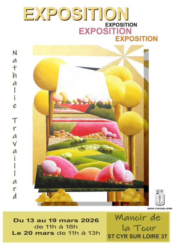 Sortir &agrave; ST CYR SUR LOIRE(Indre et Loire). ST CYR SUR LOIRE.