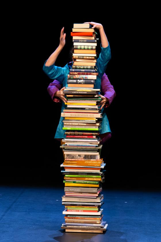 Sortir &agrave; GAILLAC(Tarn). GAILLAC.