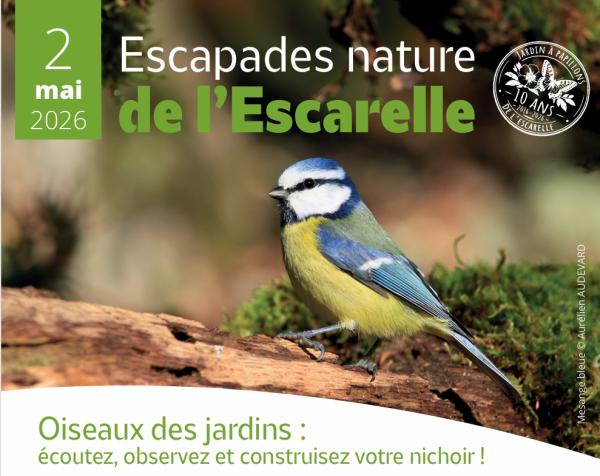 Sortir &agrave; LA CELLE(Var). LA CELLE.