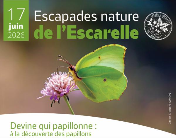 Sortir &agrave; LA CELLE(Var). LA CELLE.