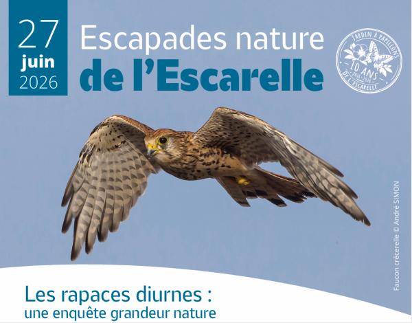 Sortir &agrave; LA CELLE(Var). LA CELLE.