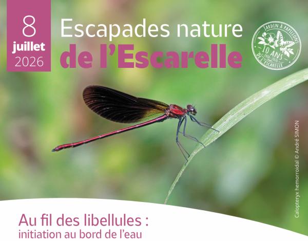 Sortir &agrave; LA CELLE(Var). LA CELLE.