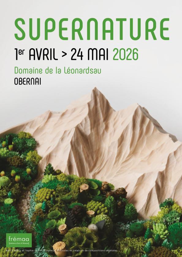 Sortir &agrave; OBERNAI(Bas Rhin). OBERNAI.