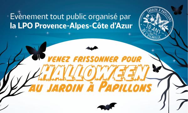 Sortir &agrave; LA CELLE(Var). LA CELLE.