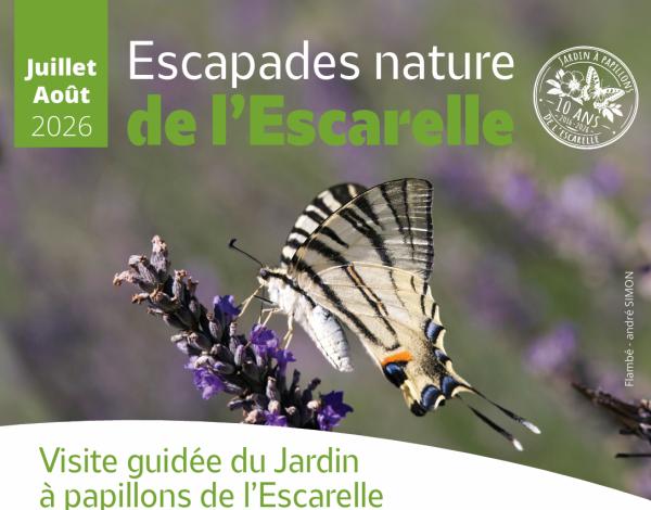 sortie à LA CELLE, Var. VISITE GUIDÉE DU JARDIN À PAPILLONS DE L’ESCARELLE Sortir à LA CELLE(Var). LA CELLE.