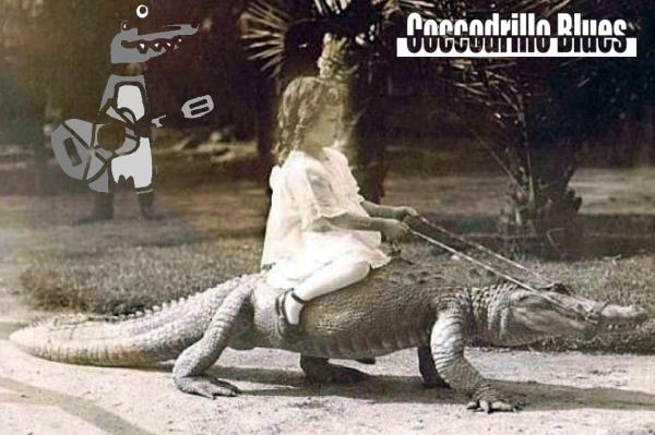 Sortir &agrave; MONTPELLIER(H&eacute;rault). MONTPELLIER.