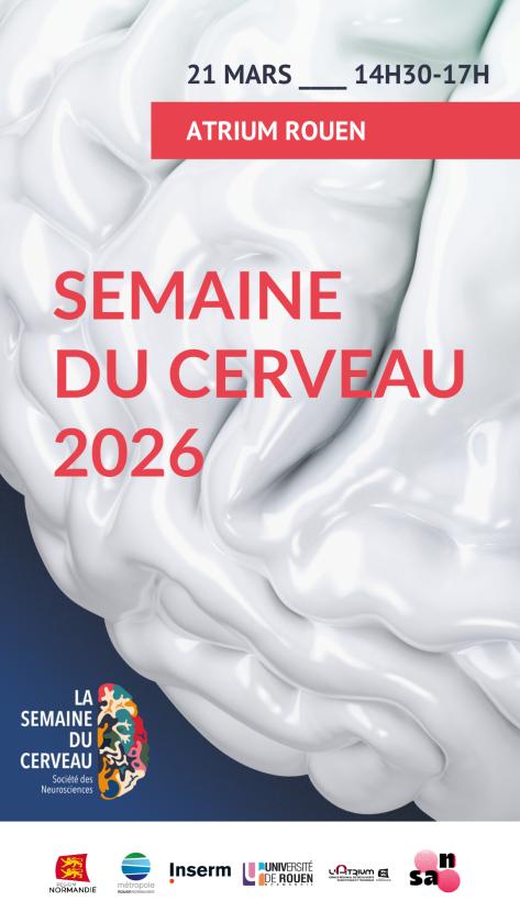 Sortir &agrave; ROUEN(Seine Maritime). ROUEN.