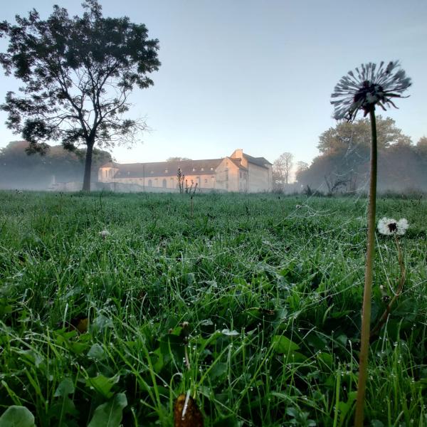 Sortir &agrave; ST OUEN L AUMONE(Val d'oise). ST OUEN L AUMONE.