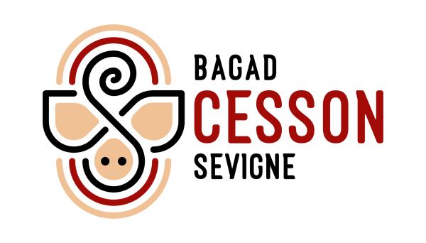 sortie à CESSON SEVIGNE, Ille et Vilaine. 40ANS BAGAD CESSON Sortir à CESSON SEVIGNE(Ille et Vilaine). CESSON SEVIGNE.