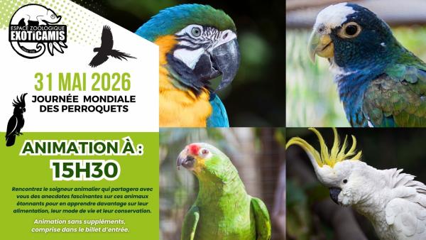 Sortir &agrave; FAUCH(Tarn). FAUCH.