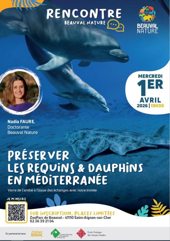 Sortir &agrave; ST AIGNAN(Loir et Cher). ST AIGNAN.