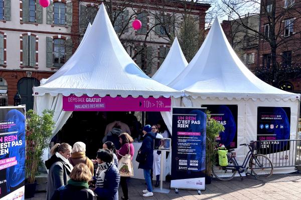 Sortir &agrave; TOULOUSE(Haute Garonne). TOULOUSE.