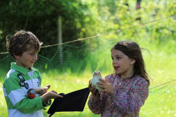 Sortir &agrave; BRAUD ET ST LOUIS(Gironde). BRAUD ET ST LOUIS.
