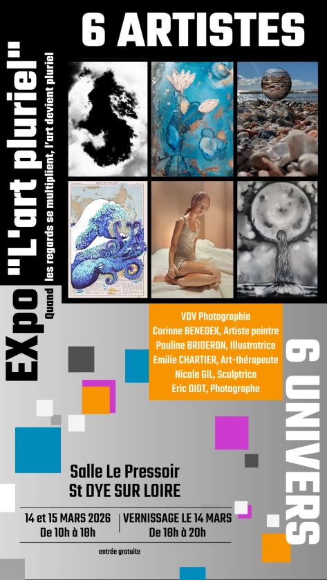 Sortir &agrave; ST DYE SUR LOIRE(Loir et Cher). ST DYE SUR LOIRE.