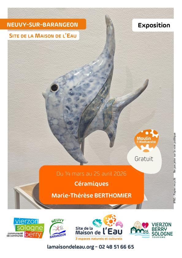 Sortir &agrave; NEUVY SUR BARANGEON(Cher). NEUVY SUR BARANGEON.