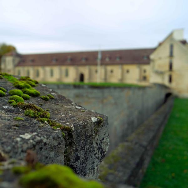 sortie à ST OUEN L AUMONE, Val d'oise. VISITE GUIDÉE HISTORIQUE Sortir à ST OUEN L AUMONE(Val d'oise). ST OUEN L AUMONE.