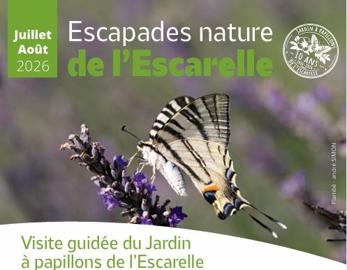 Sortir &agrave; LA CELLE(Var). LA CELLE.