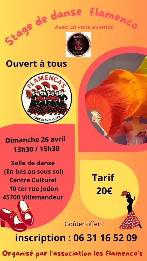 Sortir &agrave; VILLEMANDEUR(Loiret). VILLEMANDEUR.