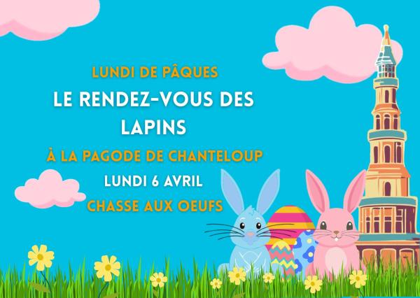 Sortir &agrave; AMBOISE(Indre et Loire). AMBOISE.