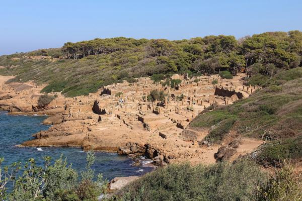 Sortir &agrave; FERNEY VOLTAIRE(Ain). FERNEY VOLTAIRE.