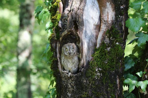 Sortir &agrave; DRAGUIGNAN(Var). DRAGUIGNAN.