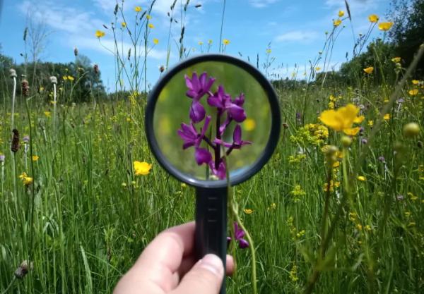 Sortir &agrave; AMBOISE(Indre et Loire). AMBOISE.