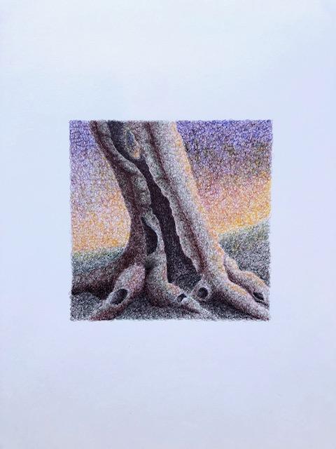 Sortir &agrave; BAUGE EN ANJOU(Maine et Loire). BAUGE EN ANJOU.