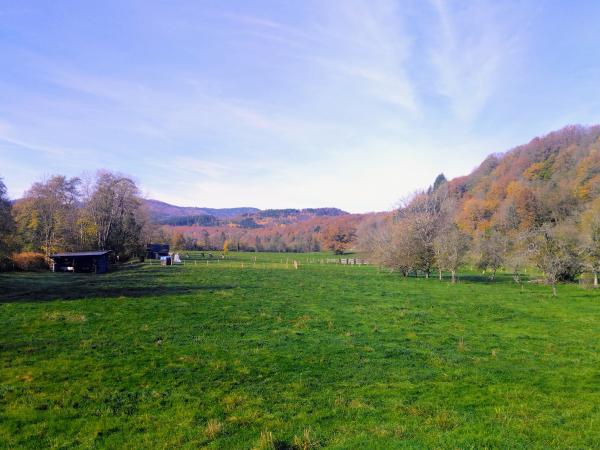 sortie à SENTHEIM, Haut Rhin. SENTIER À REMONTER LE TEMPS Sortir à SENTHEIM(Haut Rhin). SENTHEIM.
