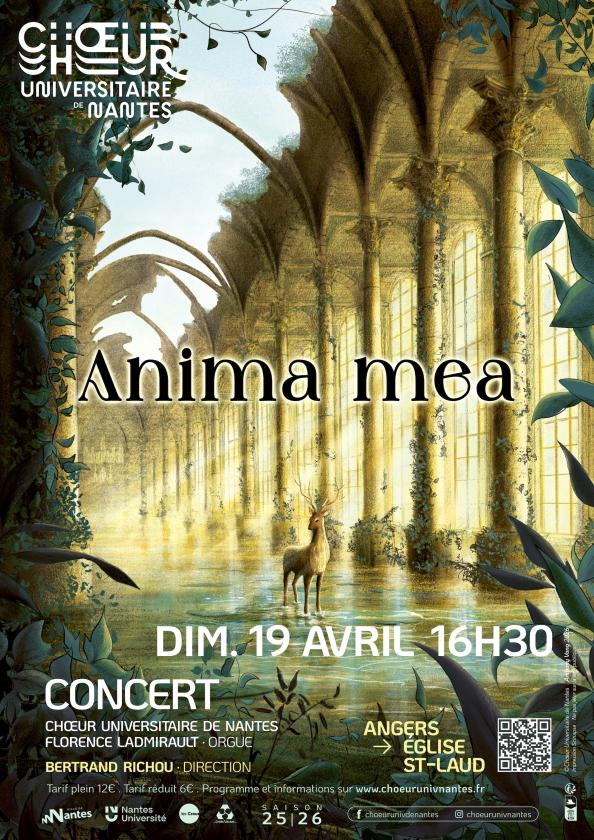 sortie à ANGERS, Maine et Loire. CONCERT ANIMA MEA Sortir à ANGERS(Maine et Loire). ANGERS.