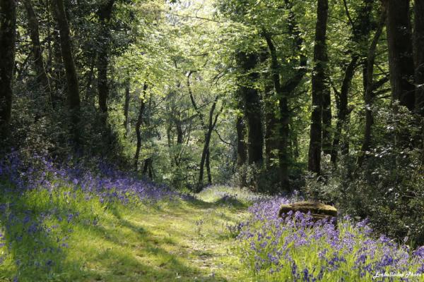 Sortir &agrave; BEAUPREAU(Maine et Loire). BEAUPREAU.
