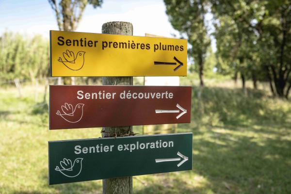 Sortir &agrave; BRAUD ET ST LOUIS(Gironde). BRAUD ET ST LOUIS.
