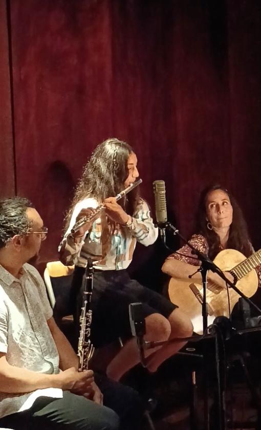 Sortir &agrave; GRENOBLE(Is&egrave;re). GRENOBLE.