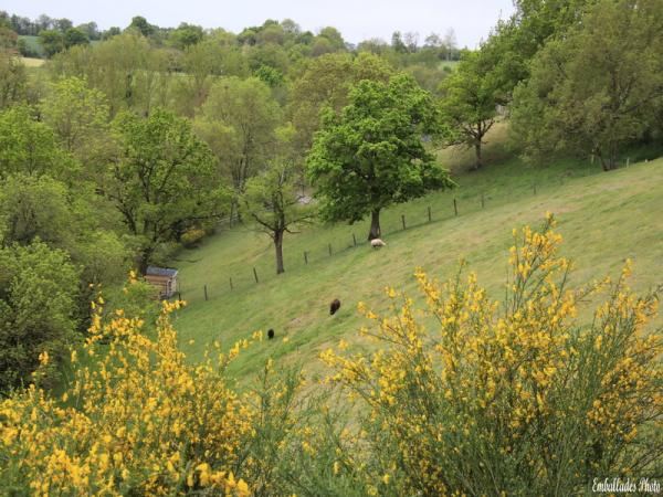 Sortir &agrave; LA POMMERAYE(Maine et Loire). LA POMMERAYE.
