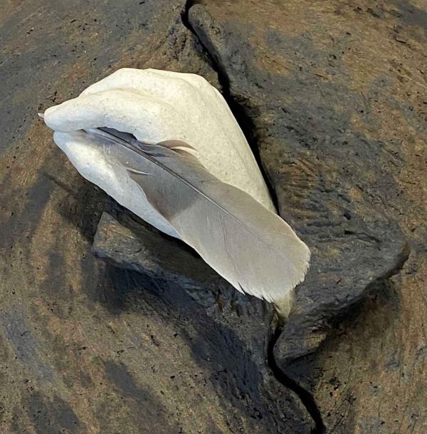 Sortir &agrave; ST OUEN L AUMONE(Val d'oise). ST OUEN L AUMONE.