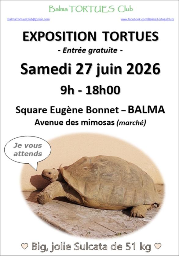 Sortir &agrave; BALMA(Haute Garonne). BALMA.
