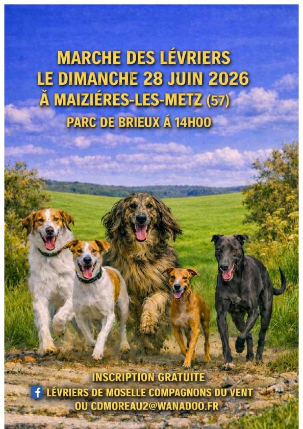 Sortir &agrave; MAIZIERES LES METZ(Moselle). MAIZIERES LES METZ.