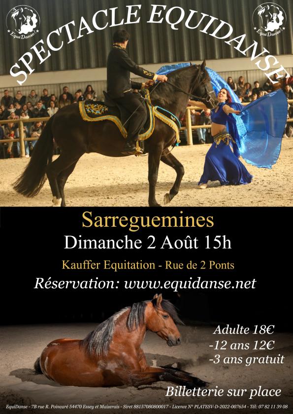 Sortir &agrave; SARREGUEMINES(Moselle). SARREGUEMINES.